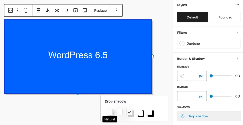 drop shadow feature in wordpress 6.5